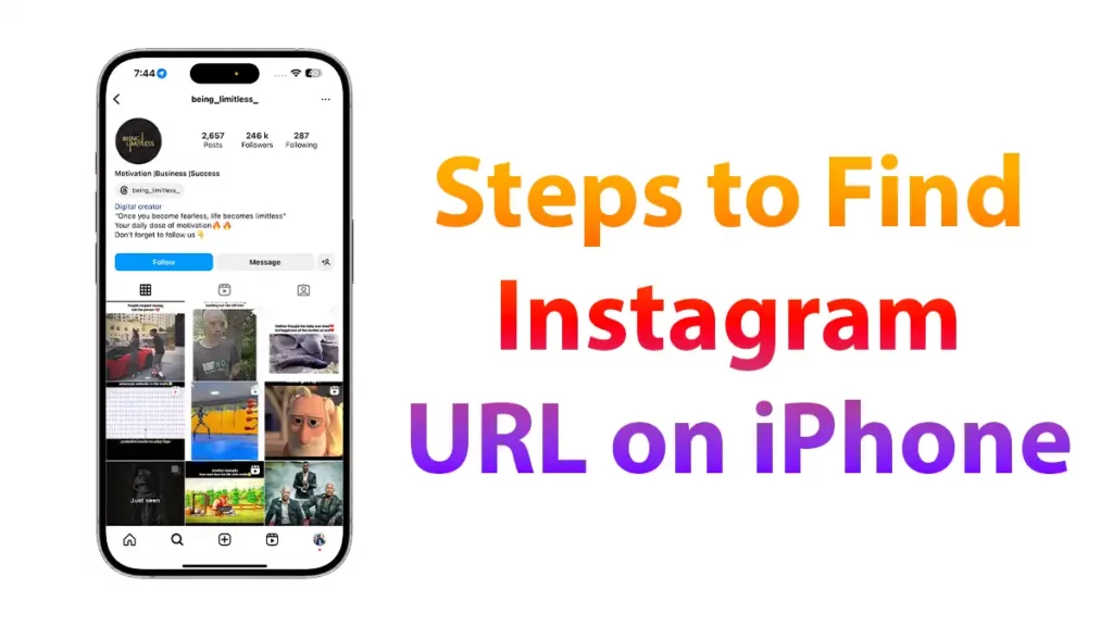 Steps To Find Instagram Url On Iphone